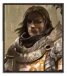 paladinman